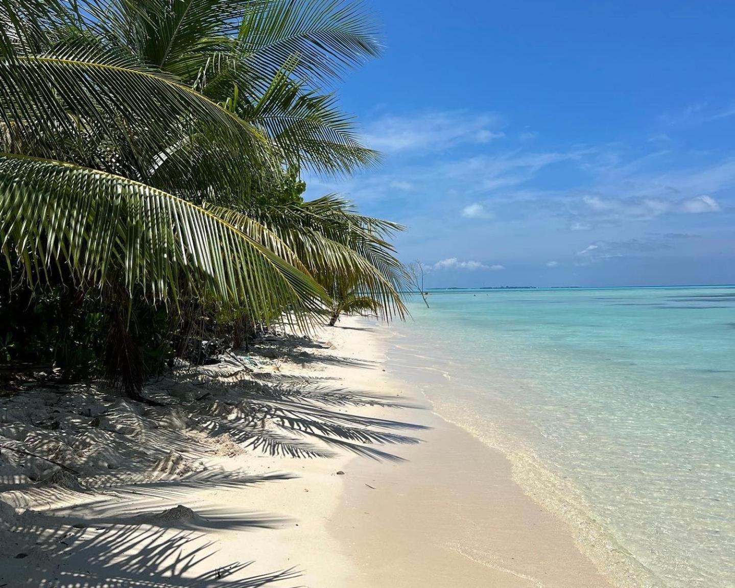 Heron Beach Hotel - The Best Maldivian Getaway In Dhiffushi,Maldives Eksteriør bilde