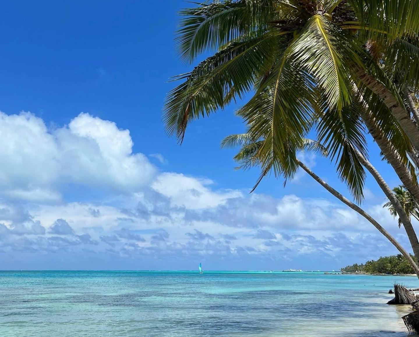 Heron Beach Hotel - The Best Maldivian Getaway In Dhiffushi,Maldives Eksteriør bilde